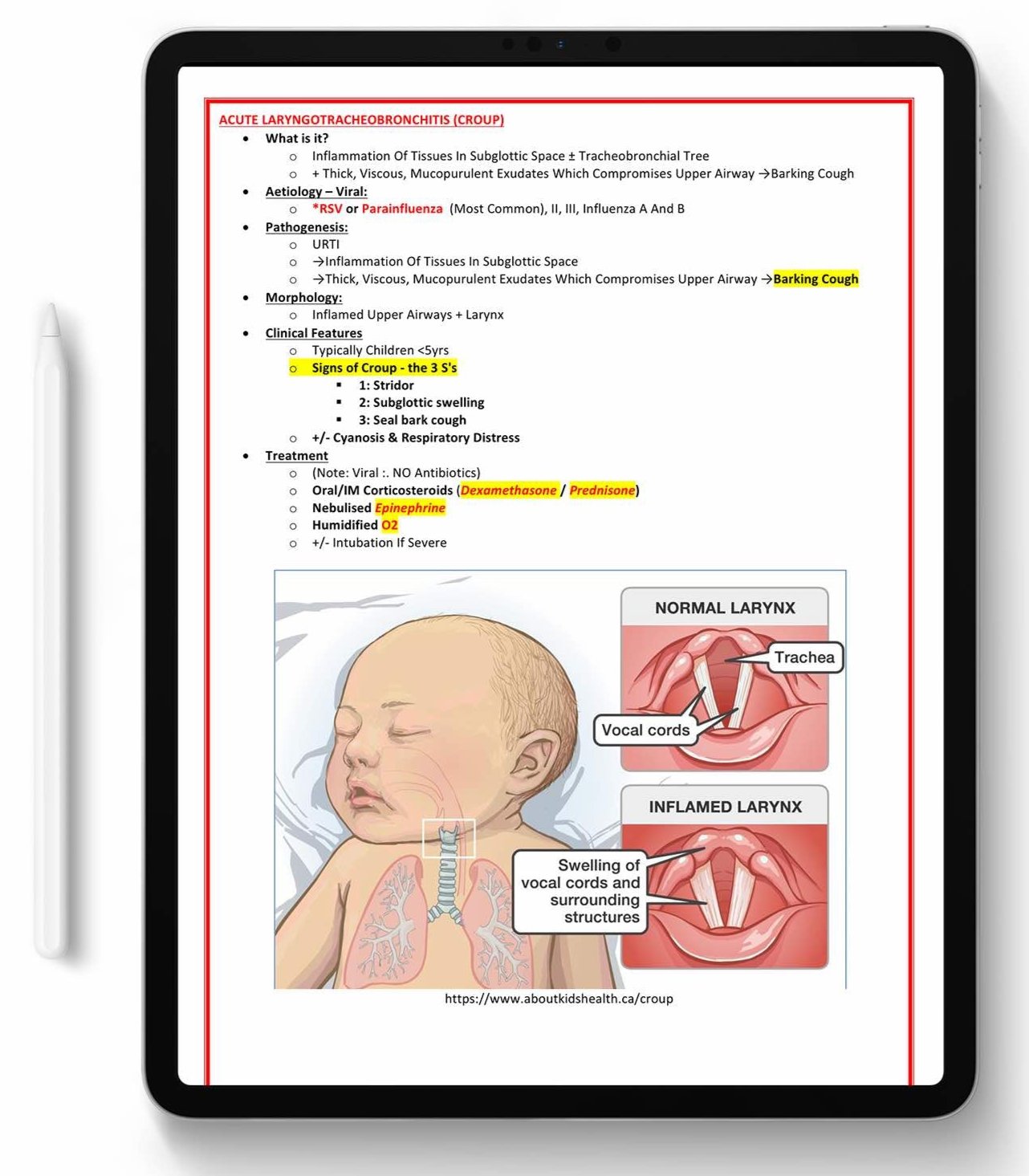 ALL 21 SUBJECTS (80% OFF BUNDLE)
